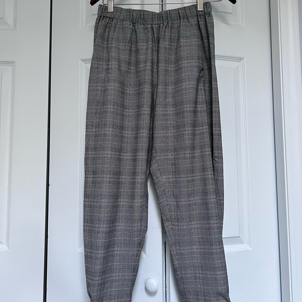 Aritzia Babaton Dexter Pants